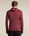 Men's Merino 260 Quantum IV LS Zip Hoodie