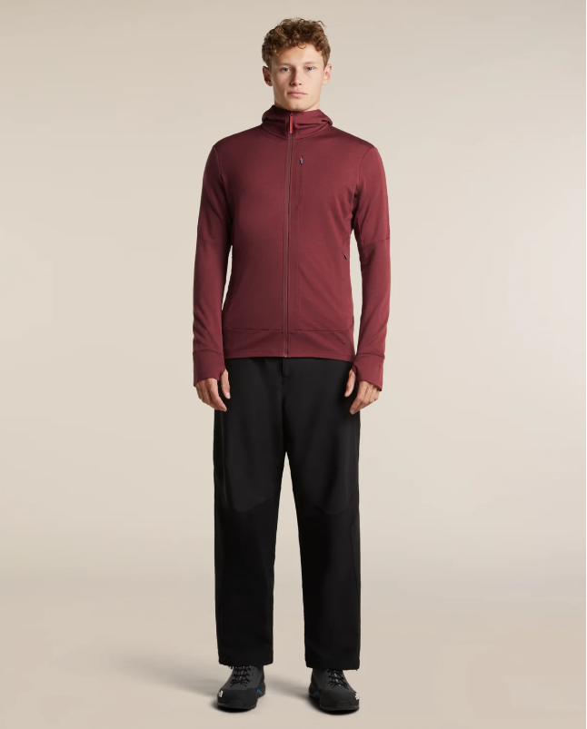 Men's Merino 260 Quantum IV LS Zip Hoodie