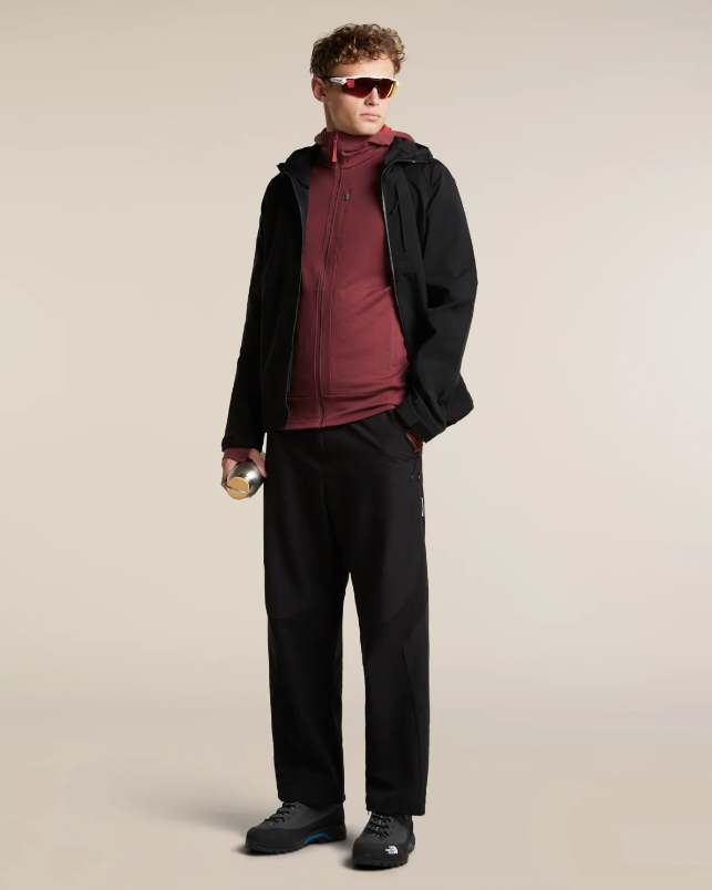 Men's Merino 260 Quantum IV LS Zip Hoodie