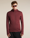 Men's Merino 260 Quantum IV LS Zip Hoodie