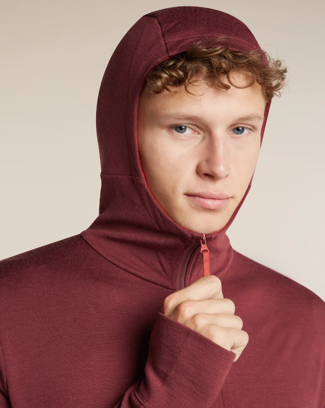 Men's Merino 260 Quantum IV LS Zip Hoodie