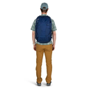 Farview 40