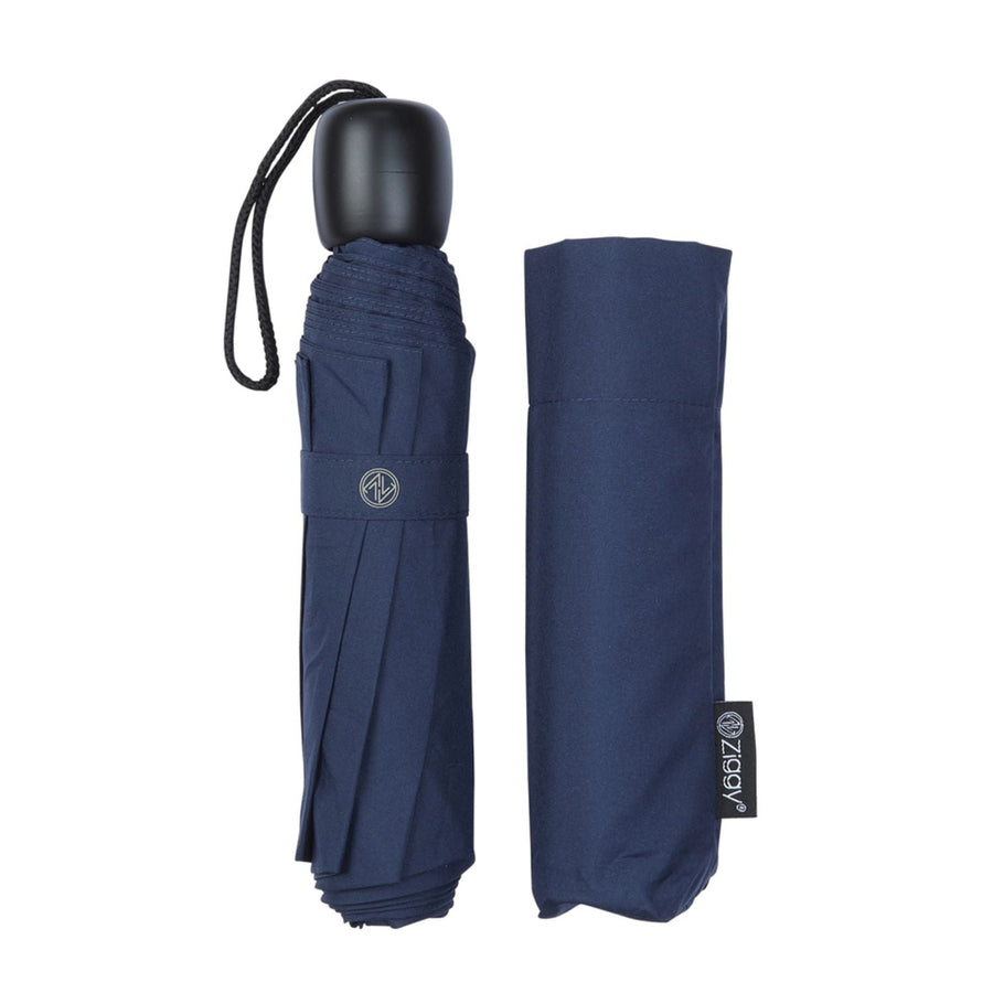 Mini Fold Umbrella