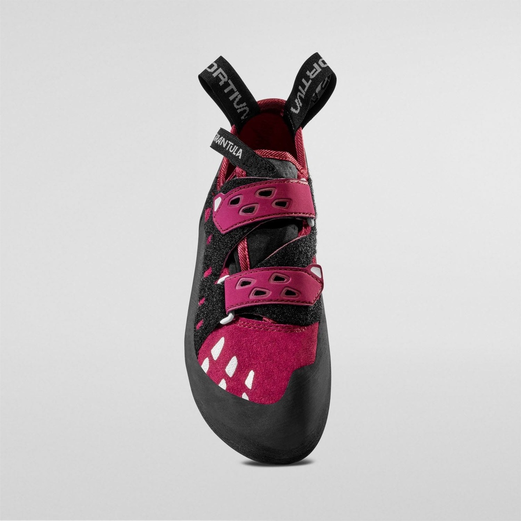 Tarantula Dames 3