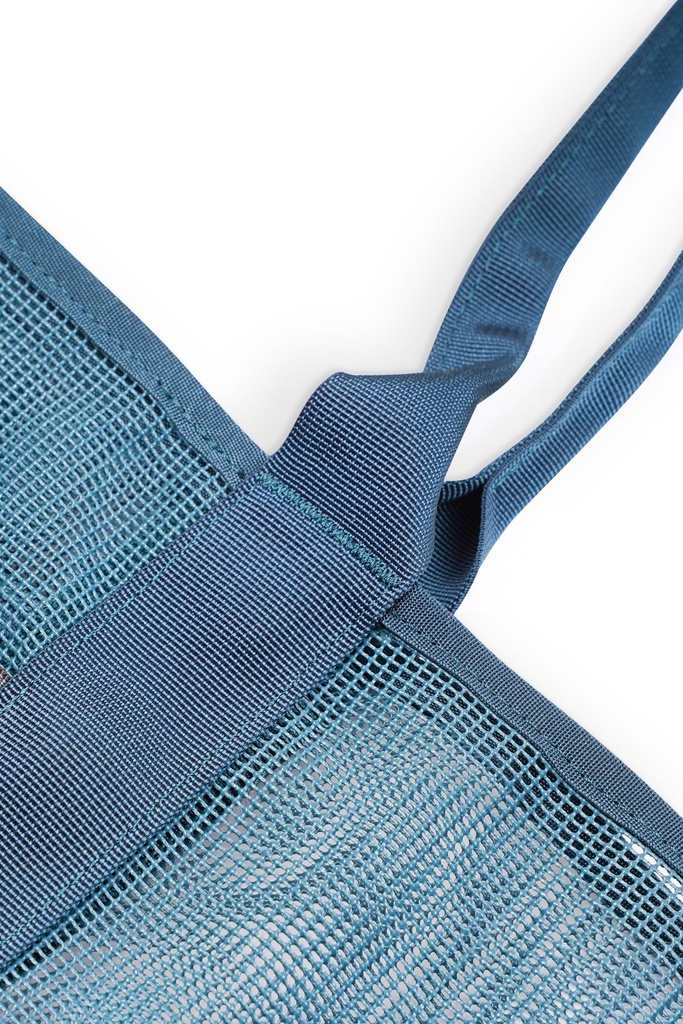 Alder Lake Tote 4