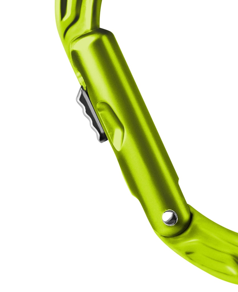 Kiwi Slider  2
