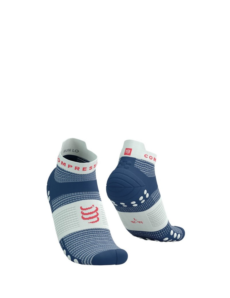 Pro Racing Socks V4.0 Run Low 2