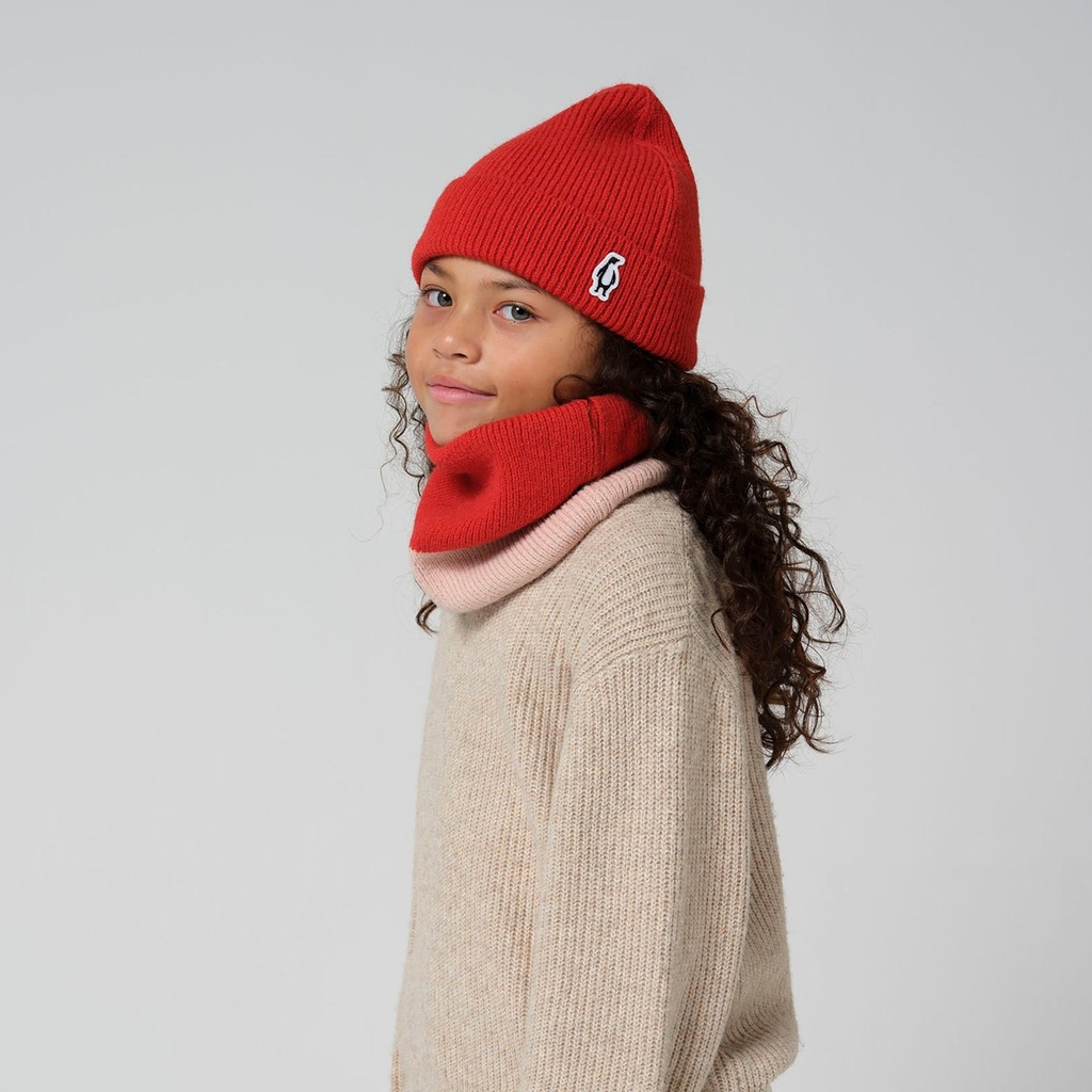 Red Dragon Beanie 2