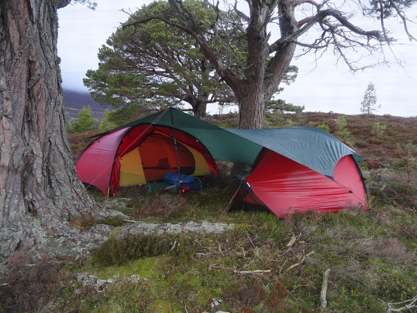 Tarp 10 UL