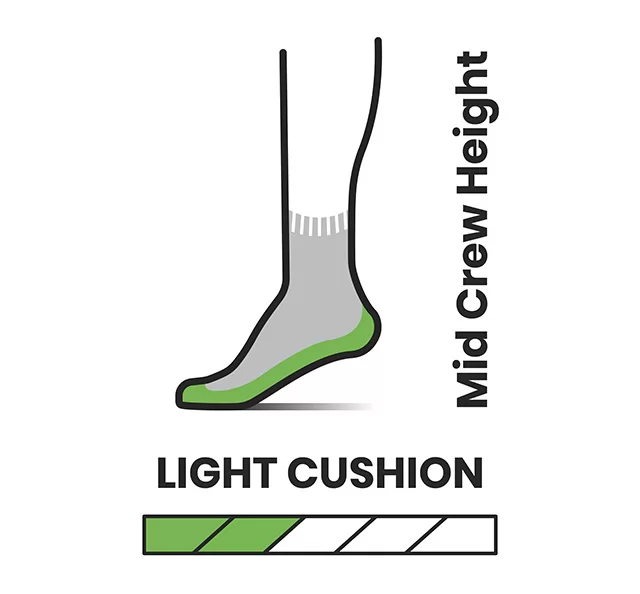 Hike Light Cushion Striped Mid Crew Socks