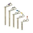 Express Ice Screw
