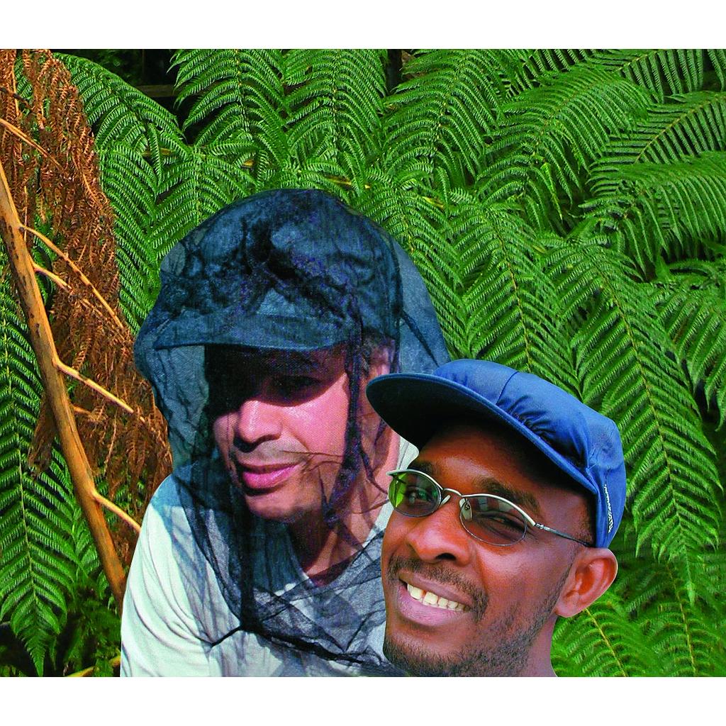 Mosquito Cap
