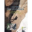 Alpine Rotsklimmen - Van Klimschool tot Hoogalpine Routes