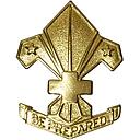 Kenteken Hoed Leiding