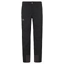 Men's Dryzzle Futurelight Pant