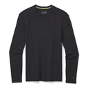 Men's Merino 250 Baselayer Crew