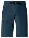 Badile Shorts Heren
