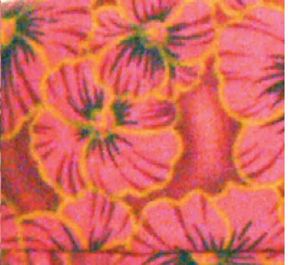 Body Cooling Neck Wrap