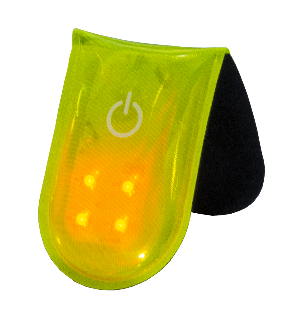 Magnetlight
