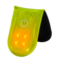 Magnetlight