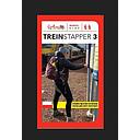 Treinstapper 3 - 10 wandelingen van station naar station langs GR