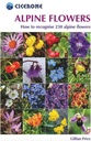 Alpine Flowers