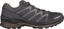 Innox Pro GTX Lo Heren