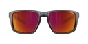 Shield - Spectron Polarized 3