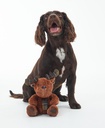 Dog Reindeer Toy 