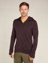 Men's Merino 260 Quantum IV LS Zip Hoodie