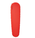 Prolite Apex