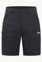 Pico Trail Shorts Heren