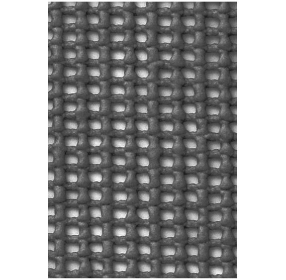 Camptex Tenttapijt 300 x 500 cm