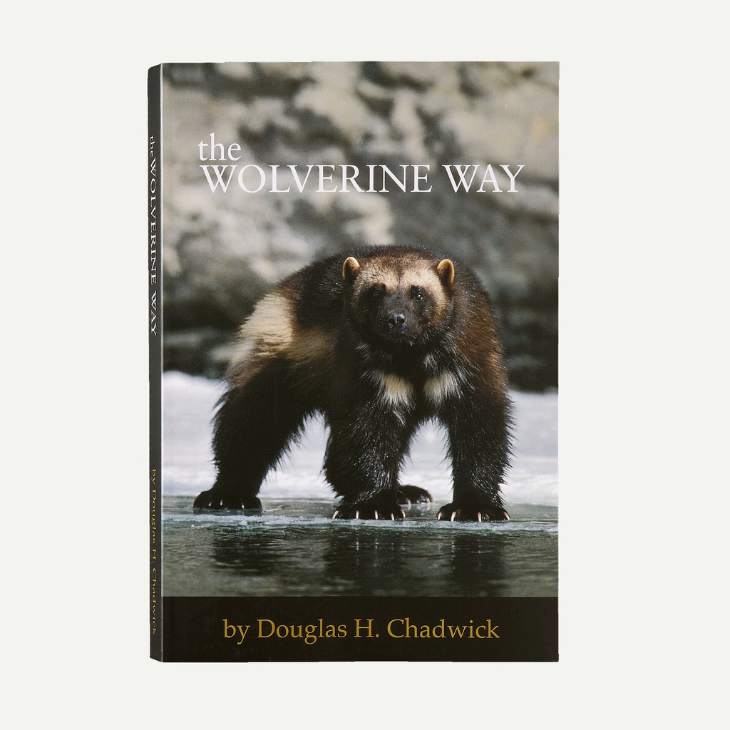 The Wolverine Way