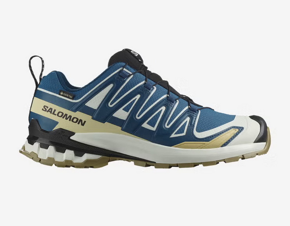 Men's Xa Pro 3D V9 GTX