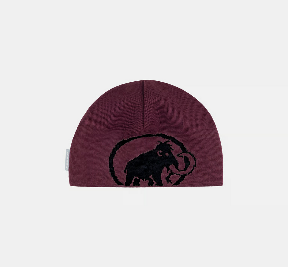 Tweak Beanie
