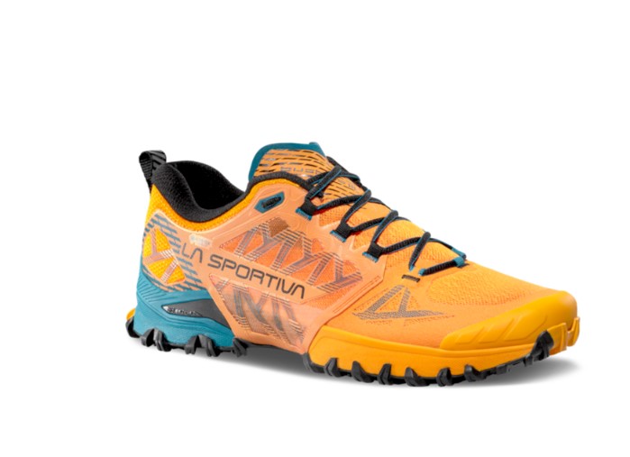 Men's Bushido III GTX