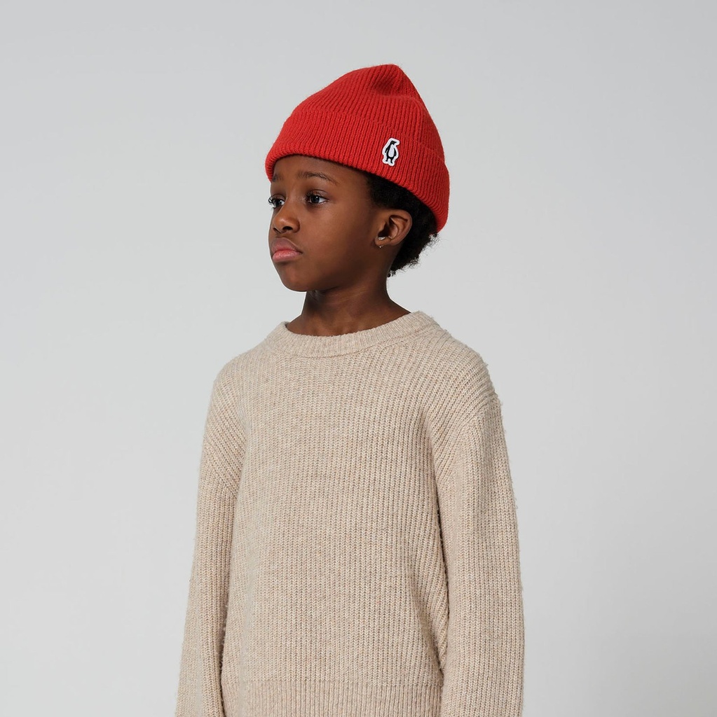 Red Dragon Beanie