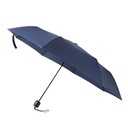 Mini Fold Umbrella