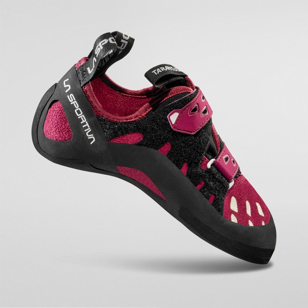 Tarantula Dames