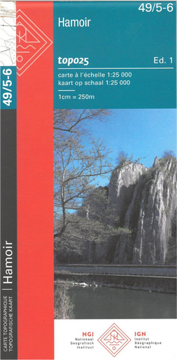 [NGIB-49/5-6] 49/5-6 Hamoir 25d ngi