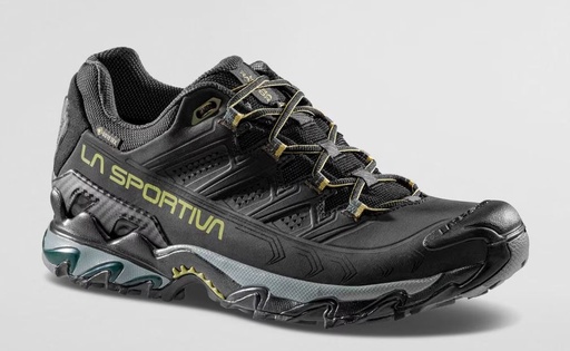 Ultra Raptor II Leather GTX Heren Black/Cedar