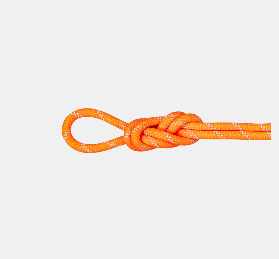 9.5 Alpine Dry Rope Dry Standard, Safety Orange/Zen