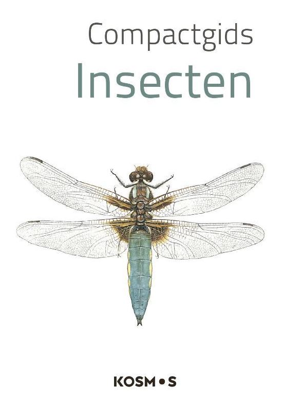 [OUT.KOS.C.040] Insecten Compactgids