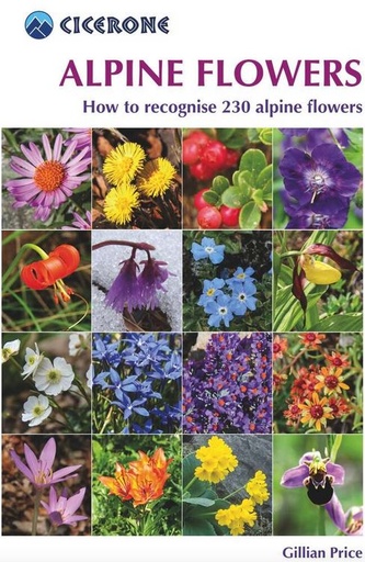 [JTC001] Alpine Flowers