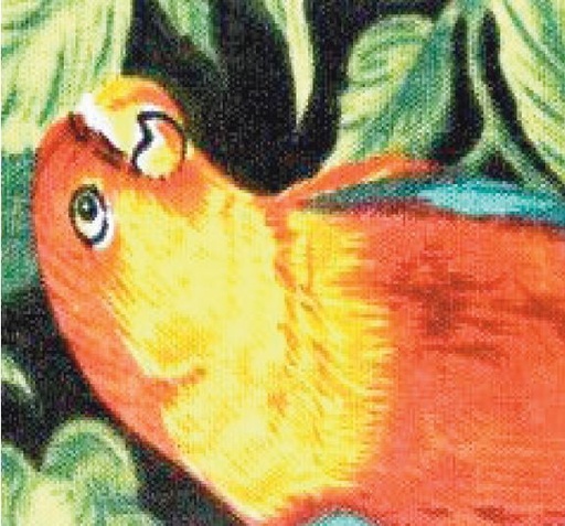 [Body Cooler 326] Body Cooling Neck Wrap Parrots