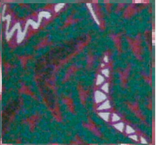 [Body Cooler 207] Body Cooling Neck Wrap Green B/Ground Boomerang