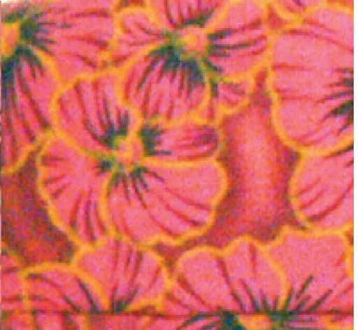 [Body Cooler 316] Body Cooling Neck Wrap Pink Pansies