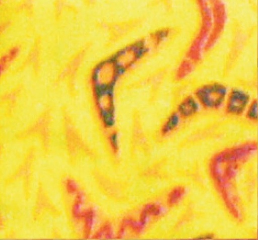 [Body Cooler 204] Body Cooling Neck Wrap Yellow B/Ground Boomerang