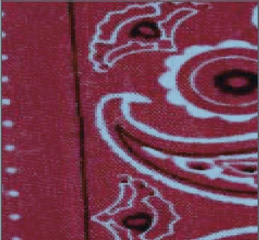 [Body Cooler 313] Body Cooling Neck Wrap Red Paisley